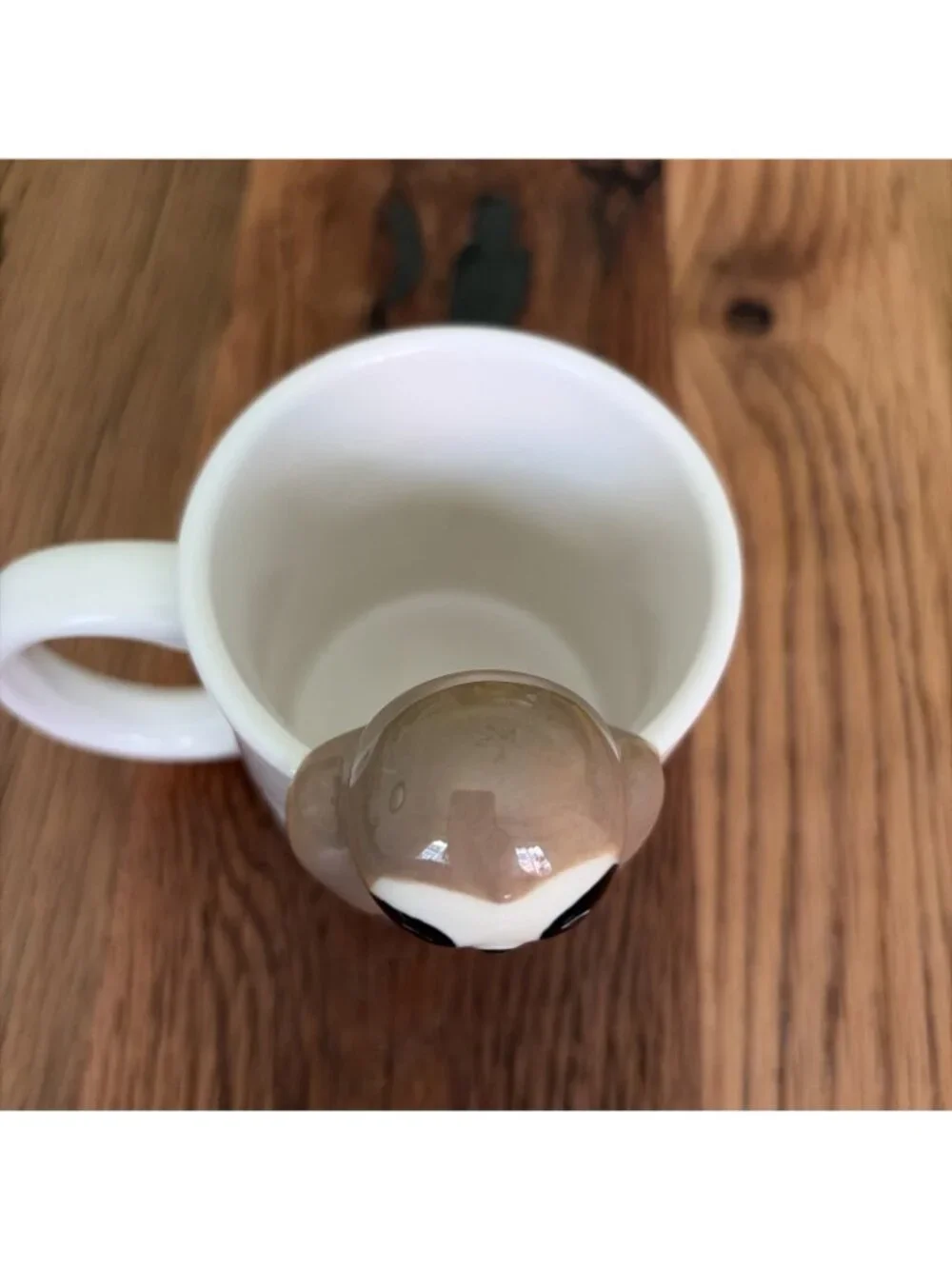 3D Sloth Coffee Ceramic Cup Mug “Today I Will Do Absolutely Nothing” 12 Oz